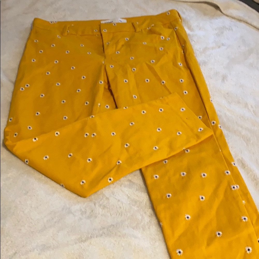 NWOT pixy pants